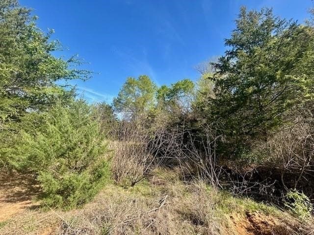 9.05 acres in Leon County - photo 15