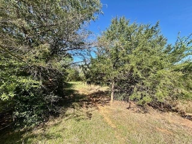 9.05 acres in Leon County - photo 14