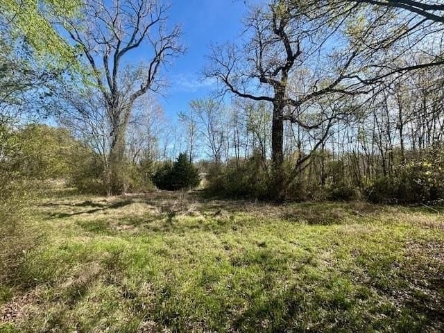 9.05 acres in Leon County - photo 9