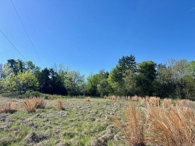 9.05 acres in Leon County - photo 19