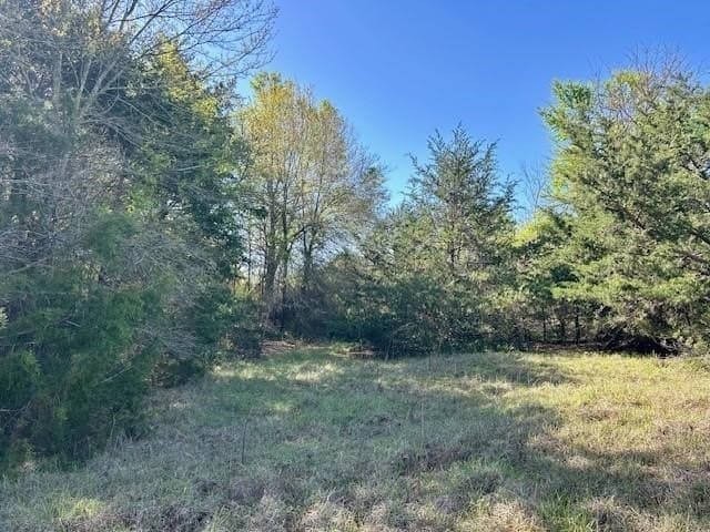 9.05 acres in Leon County - photo 7