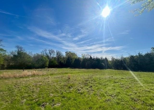 9.05 acres in Leon County - photo 17
