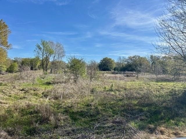 9.05 acres in Leon County - photo 8
