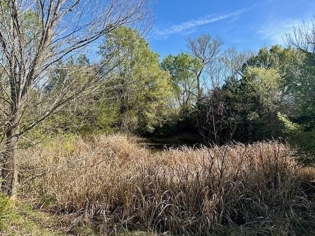 9.05 acres in Leon County - photo 11