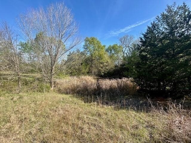 9.05 acres in Leon County - photo 13