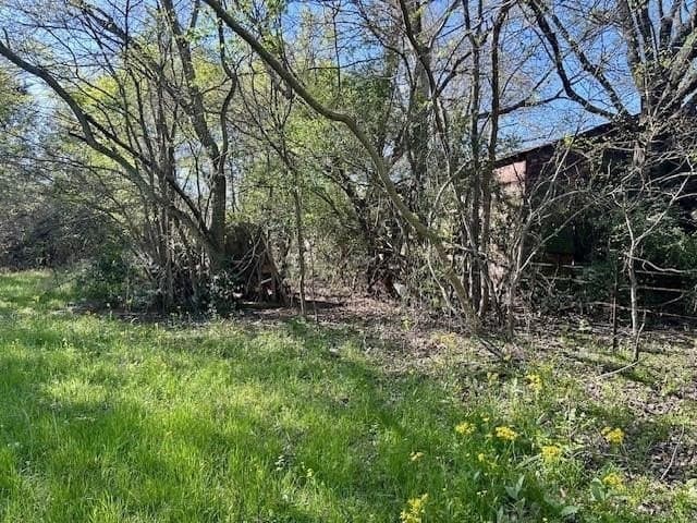 9.05 acres in Leon County - photo 25