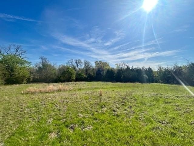9.05 acres in Leon County - photo 16