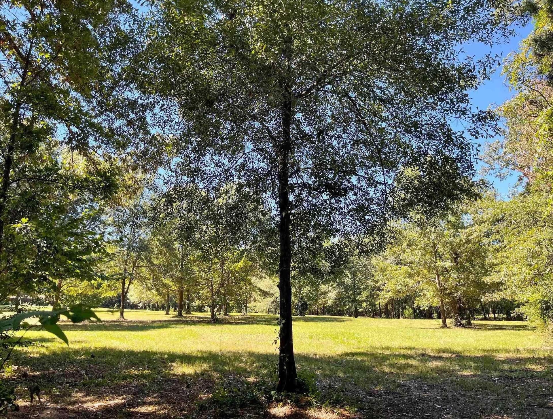 6.33 acres in Morris County featured view