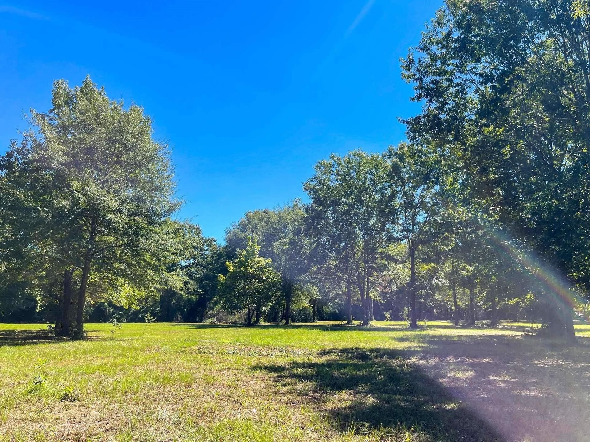 6.33 acres in Morris County gallery image 4