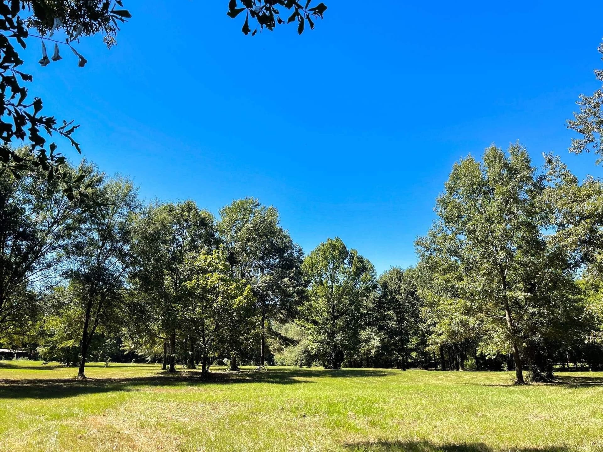 6.33 acres in Morris County gallery image 3