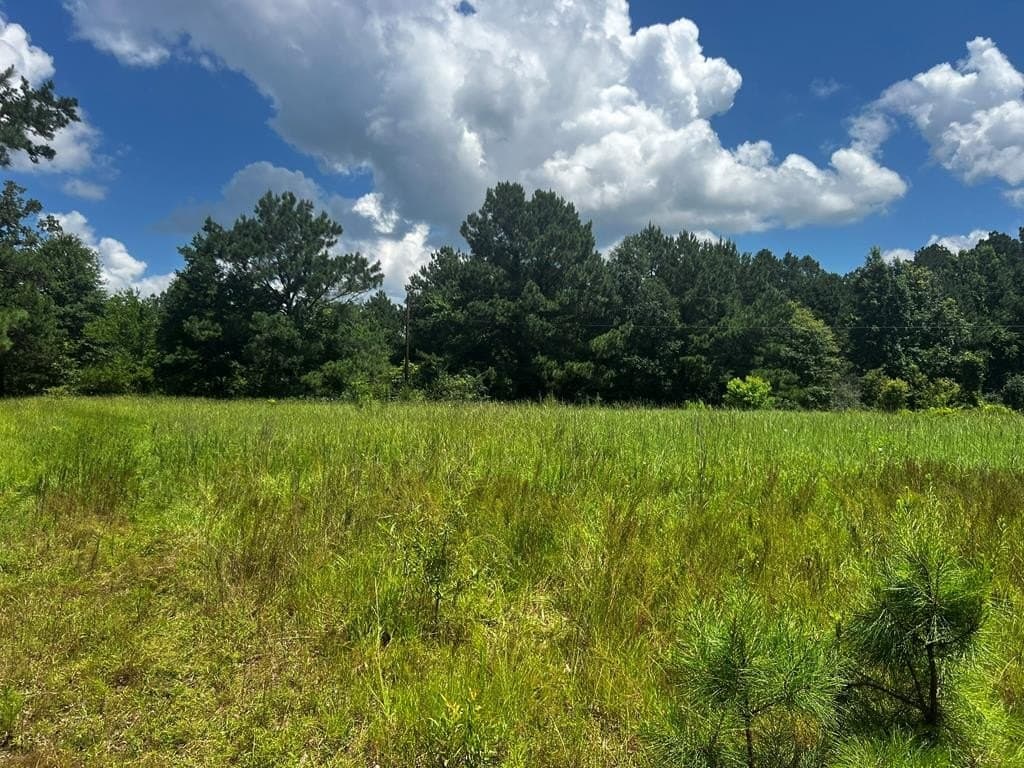 63.92 acres in Texas County - photo 7