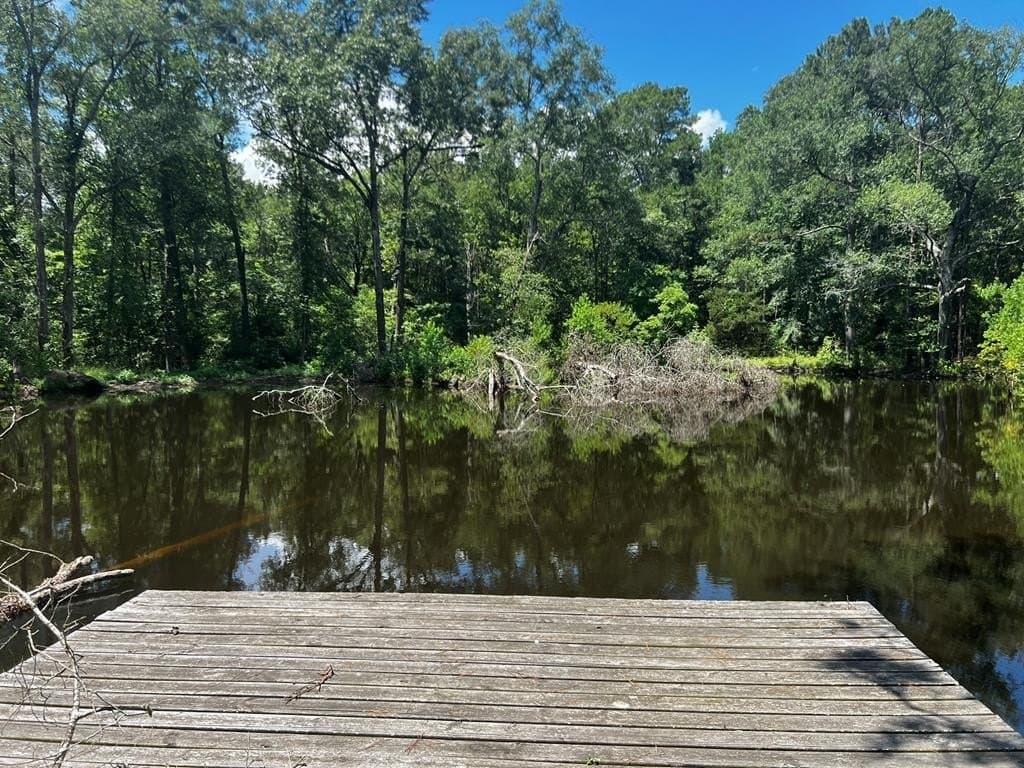 63.92 acres in Texas County - photo 11