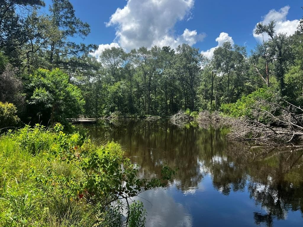 63.92 acres in Texas County - photo 8