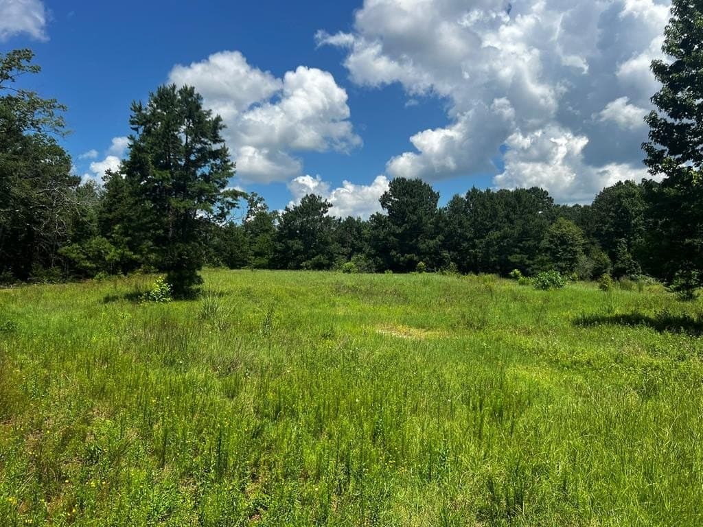 63.92 acres in Texas County - photo 13