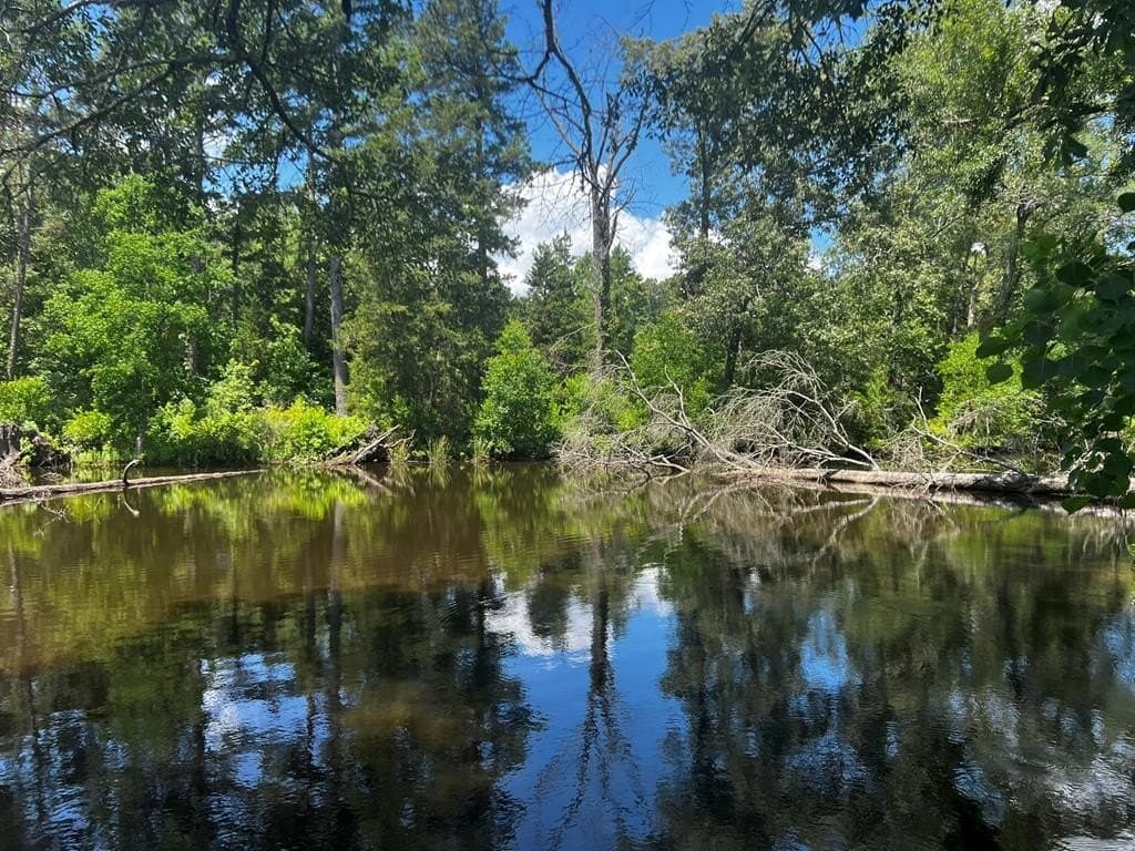 63.92 acres in Texas County - photo 9
