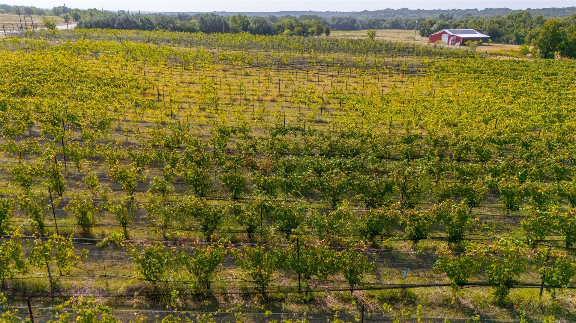 23.44 acres in Erath County - photo 7