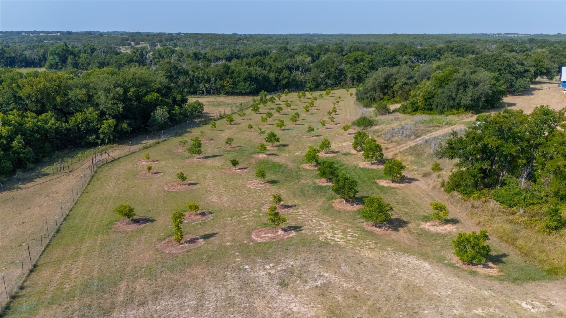 23.44 acres in Erath County - photo 10