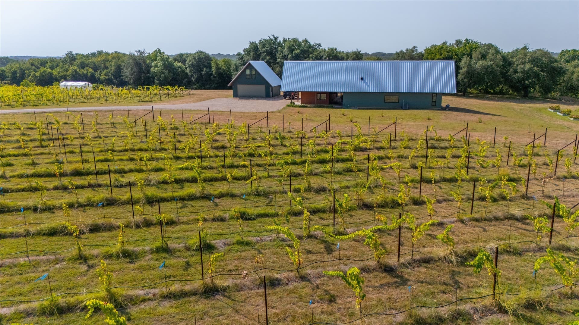 23.44 acres in Erath County - photo 4