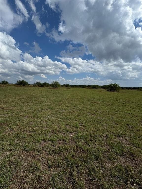 12.56 acres in Hidalgo County gallery image 3
