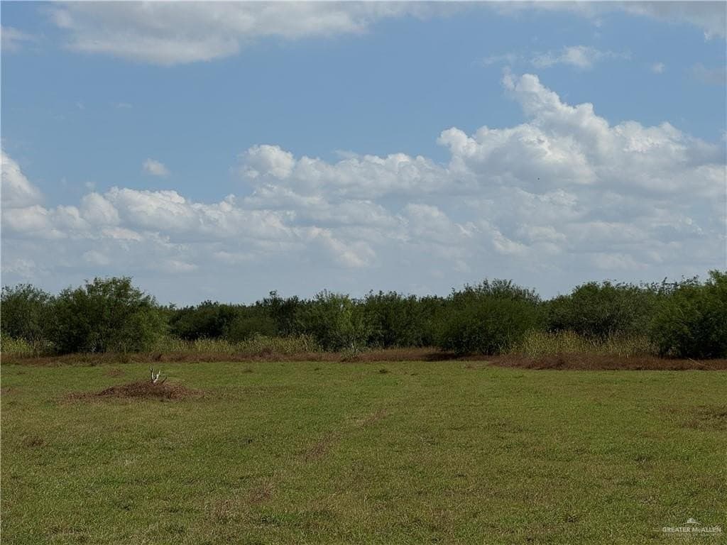12.56 acres in Hidalgo County gallery image 2