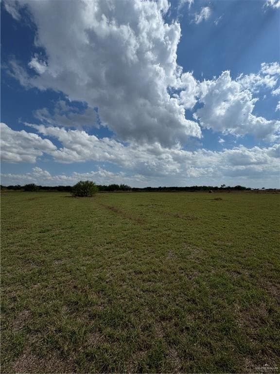 12.56 acres in Hidalgo County gallery image 4