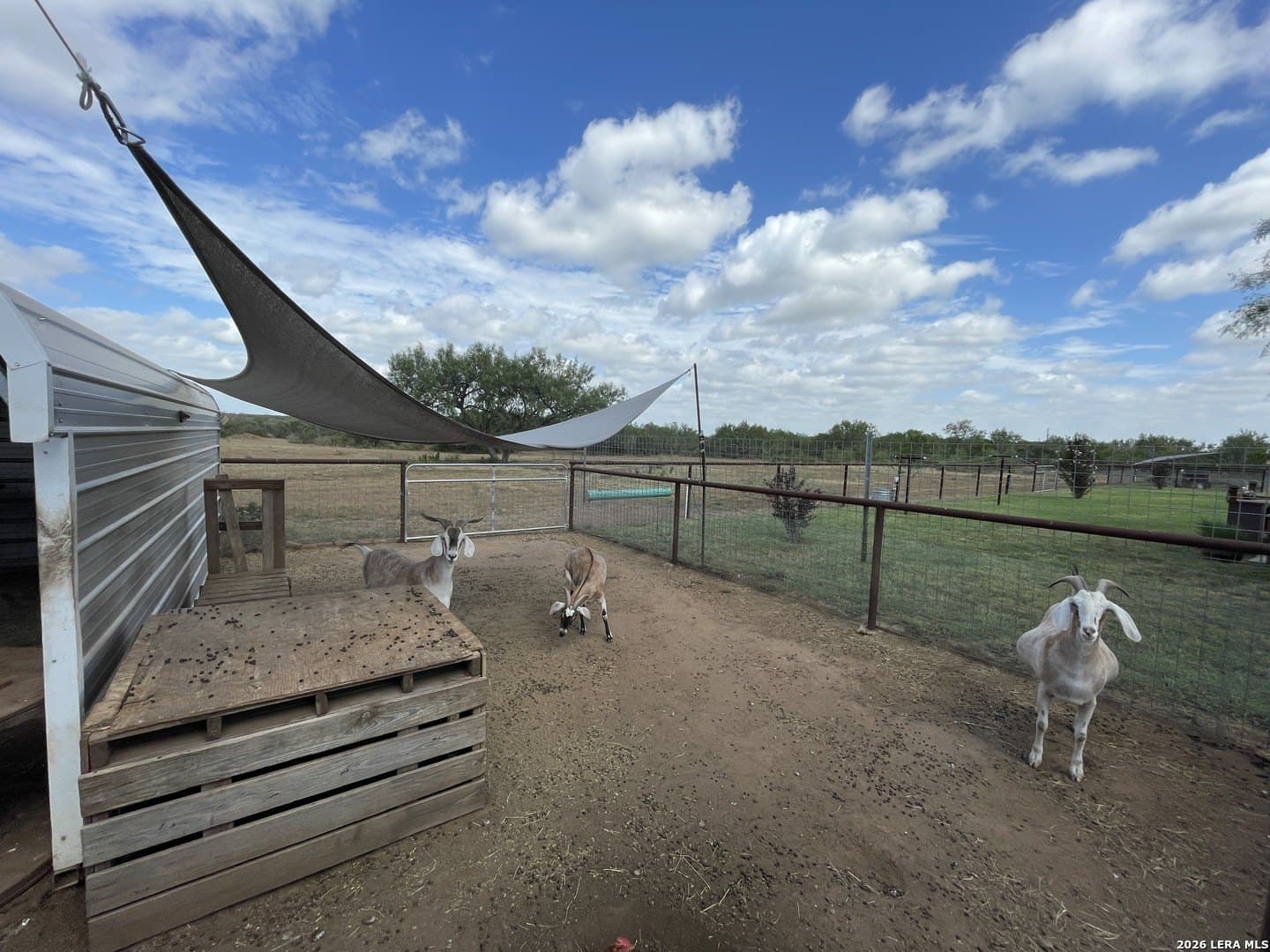 11.3 acres in Frio County - photo 44