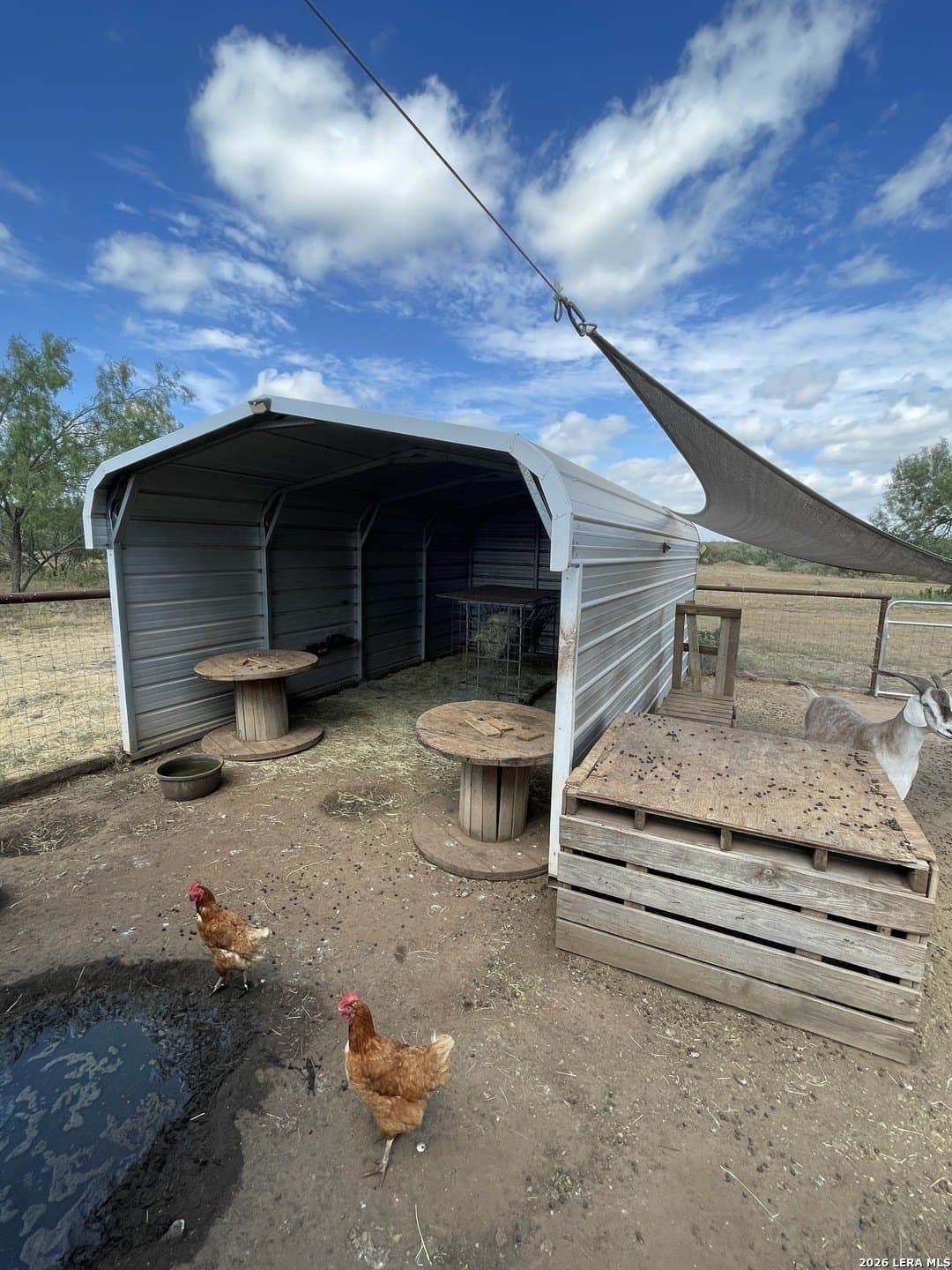 11.3 acres in Frio County - photo 45