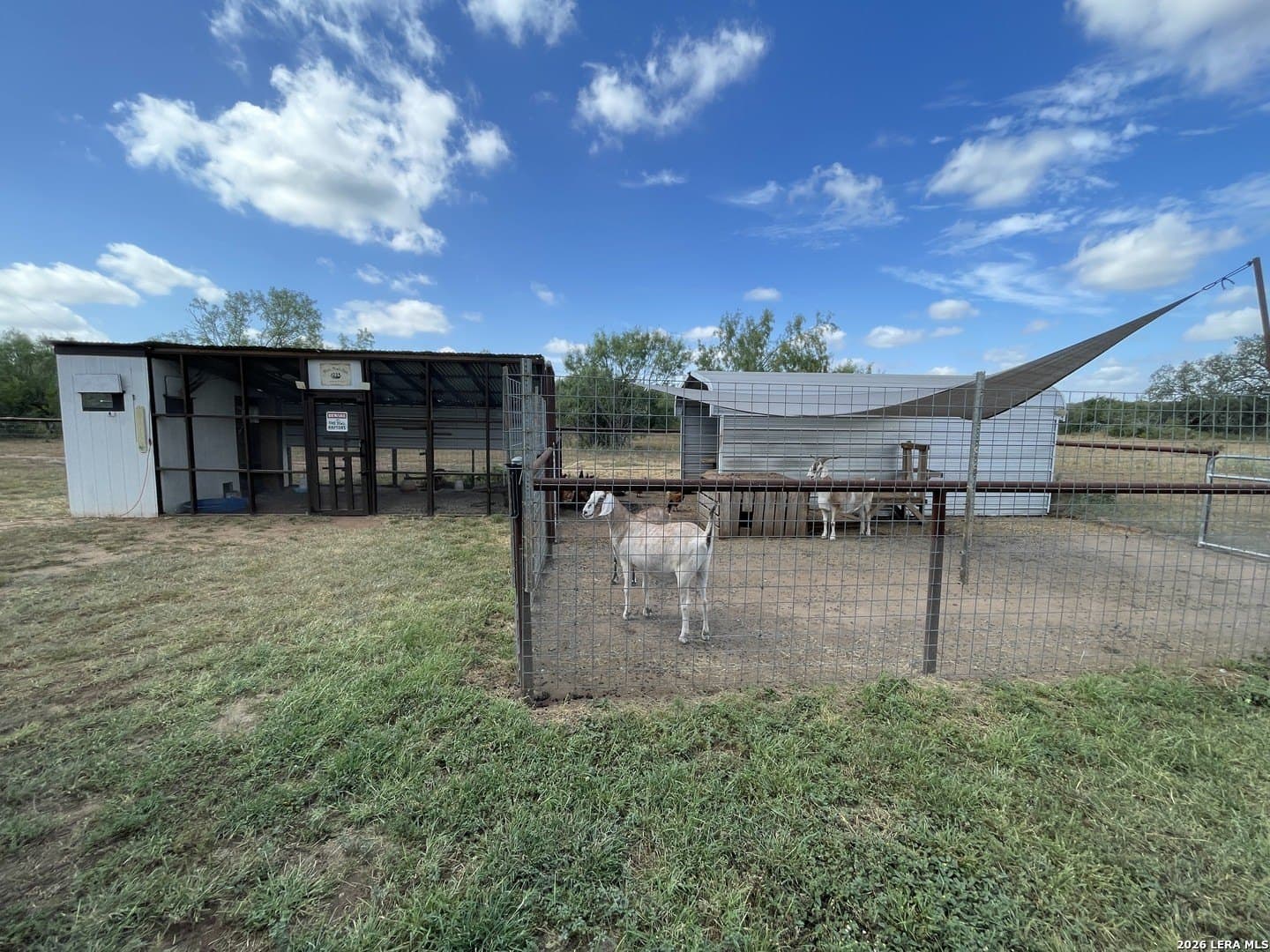 11.3 acres in Frio County - photo 41