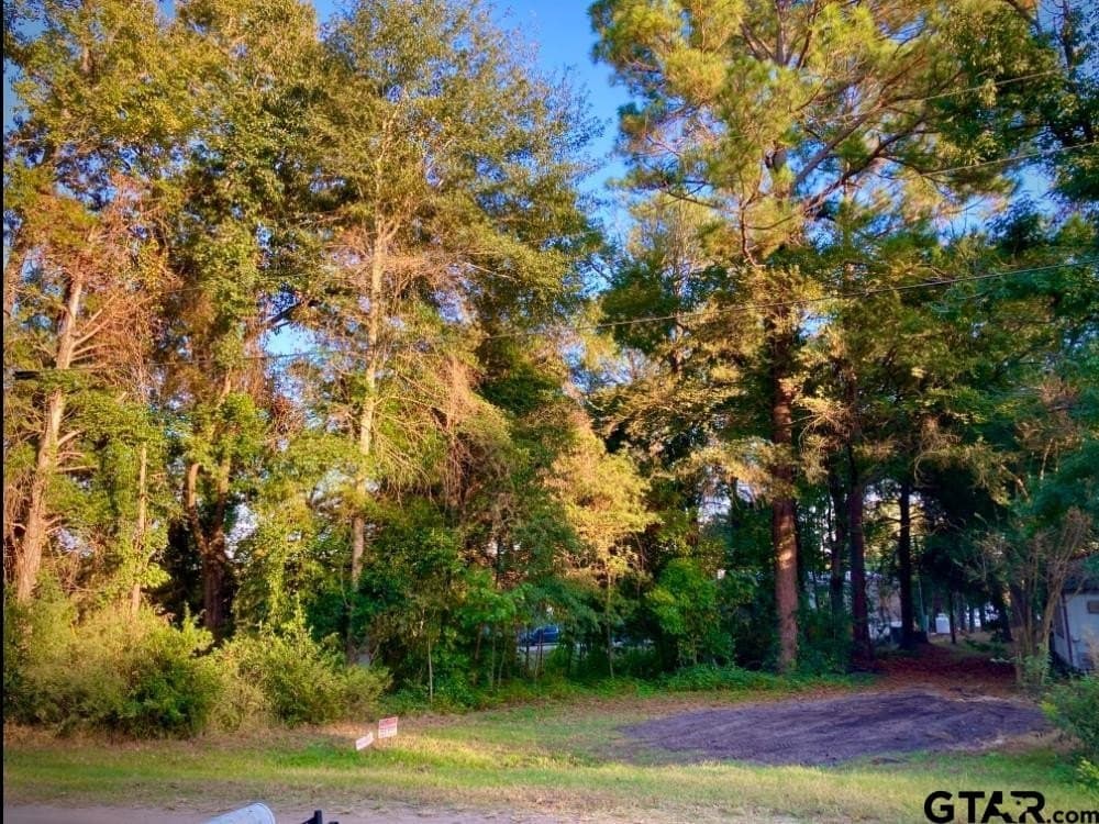 0.18 acres in Van Zandt County - photo 2