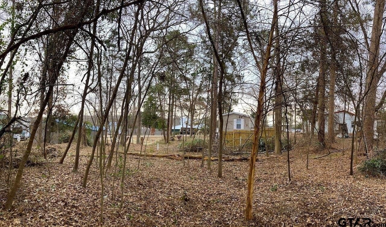 0.18 acres in Van Zandt County - photo 8
