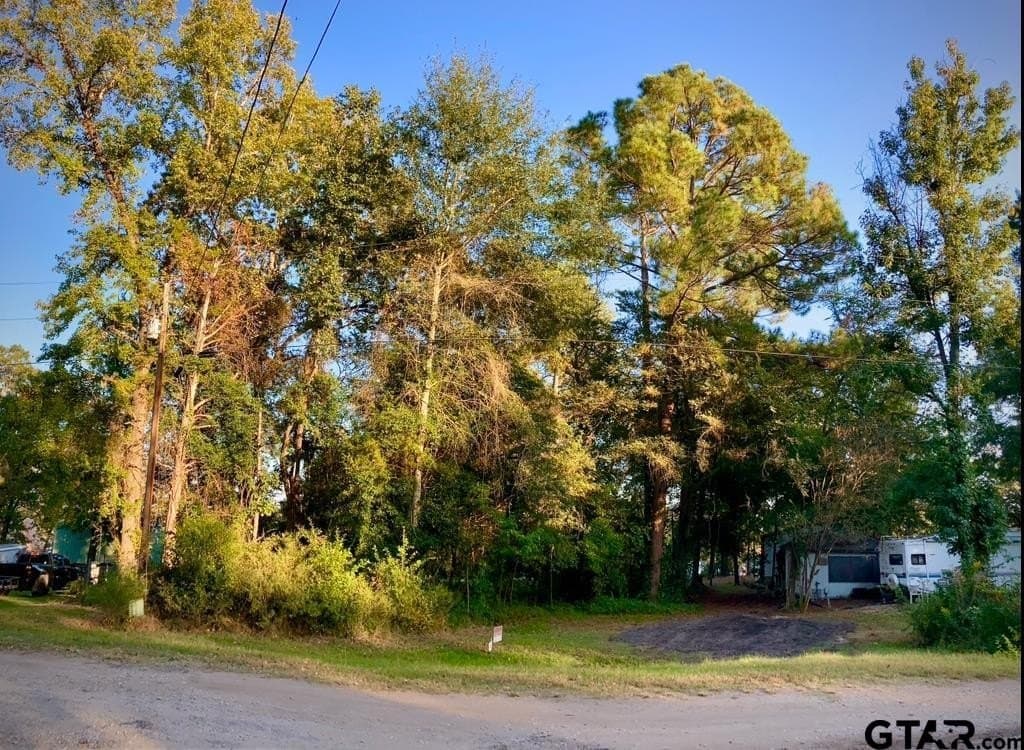 0.18 acres in Van Zandt County - photo 3