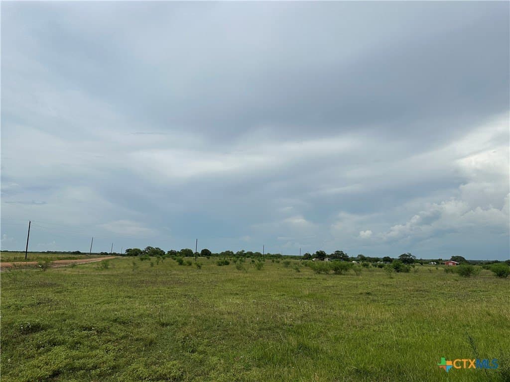 20.7 acres in Victoria County - photo 6