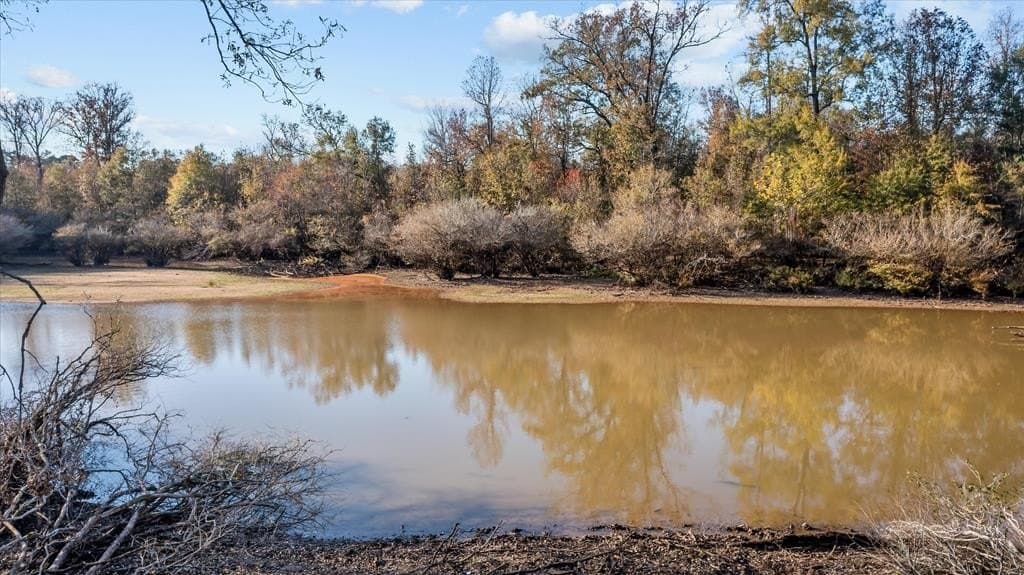 123.5 acres in Texas County