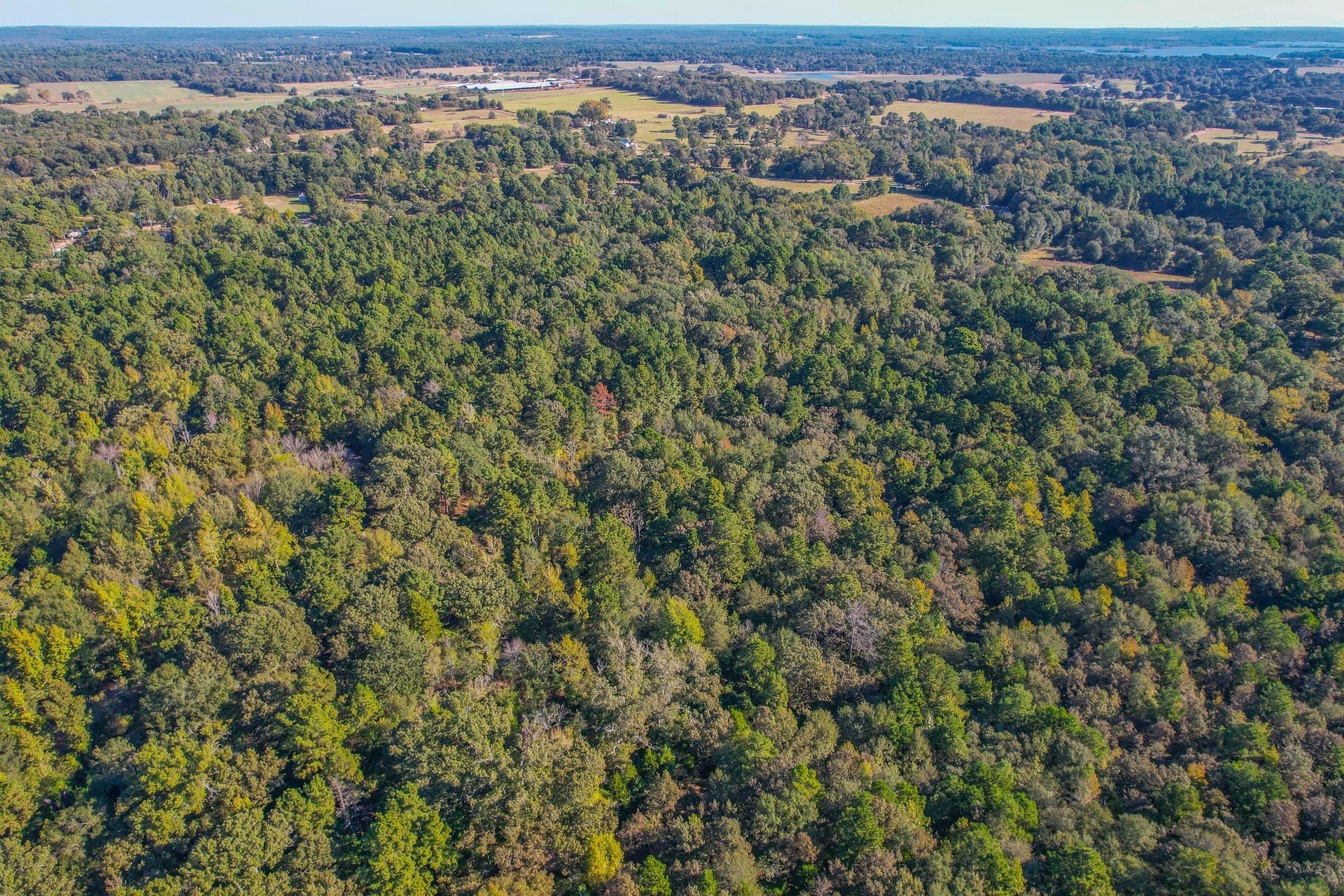 37.5 acres in Henderson County - photo 17