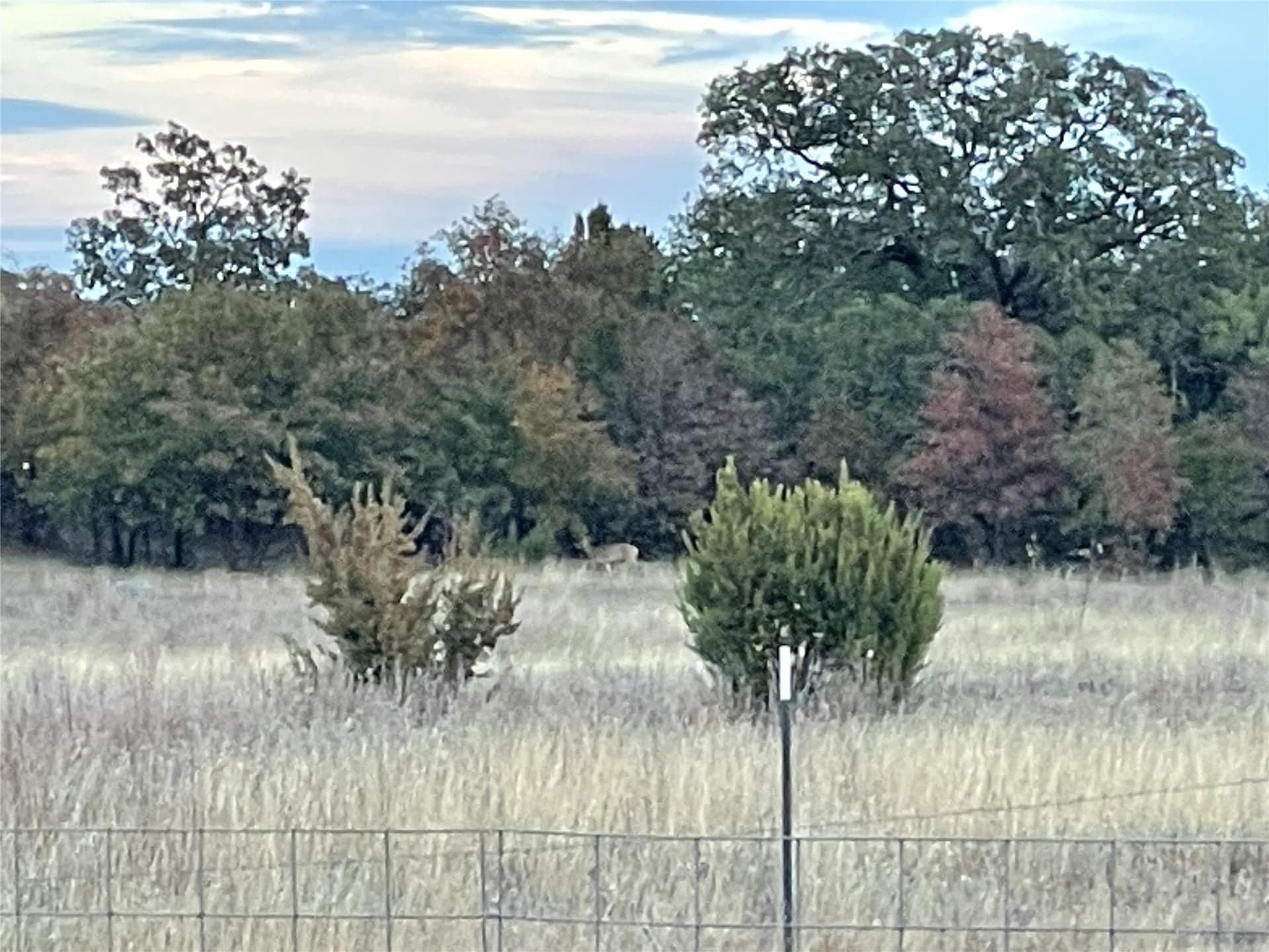 30.08 acres in Taylor County - photo 26