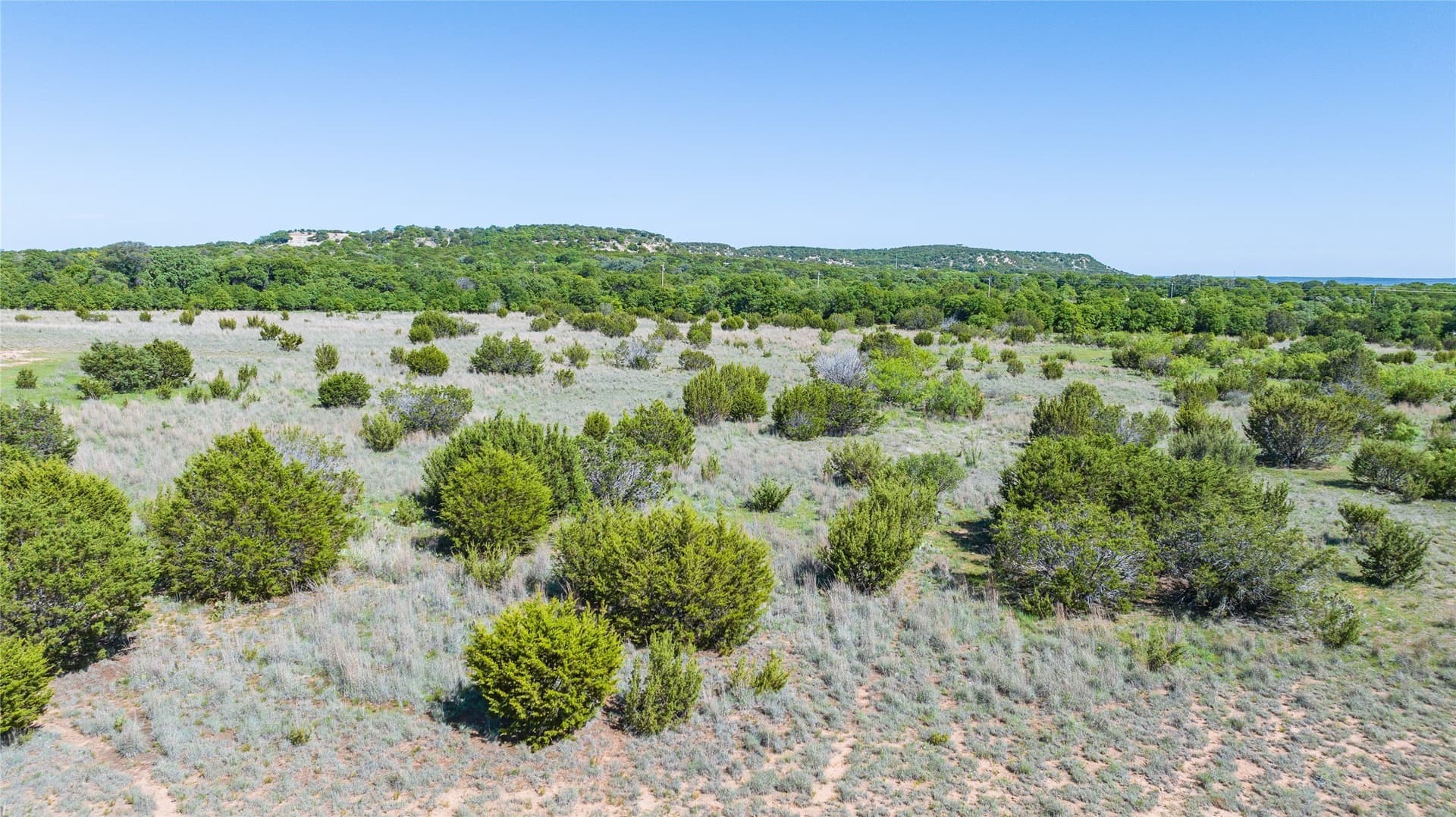 30.08 acres in Taylor County - photo 15