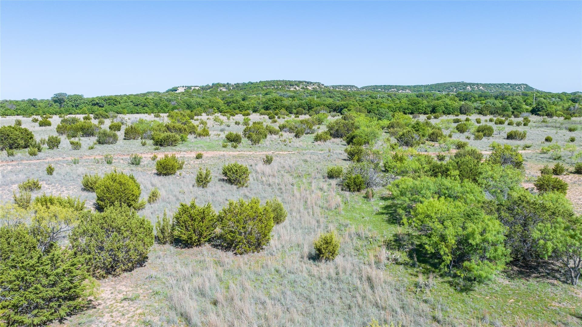 30.08 acres in Taylor County - photo 16