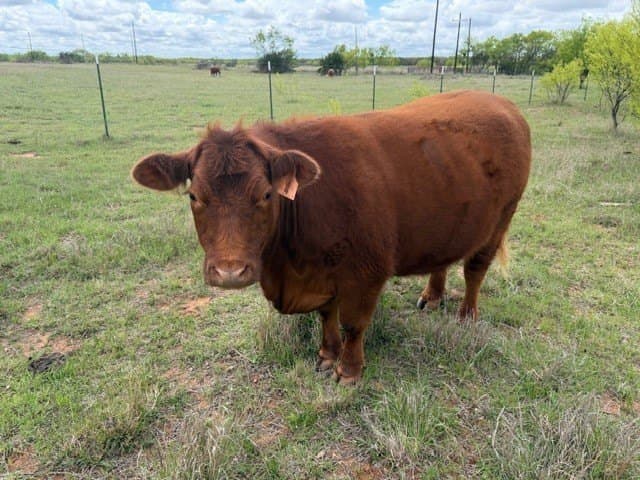 30.08 acres in Taylor County - photo 22