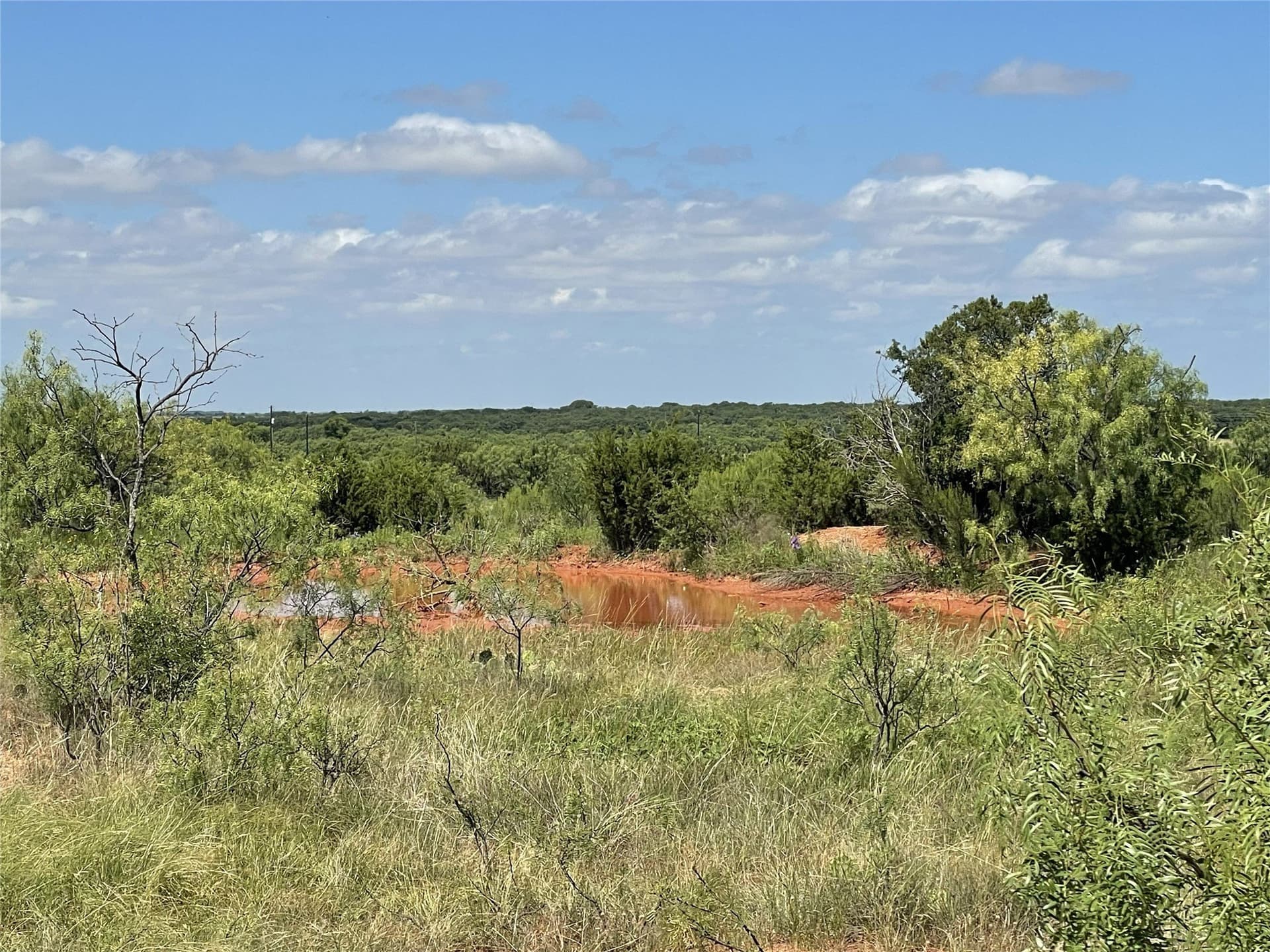 30.08 acres in Taylor County - photo 23