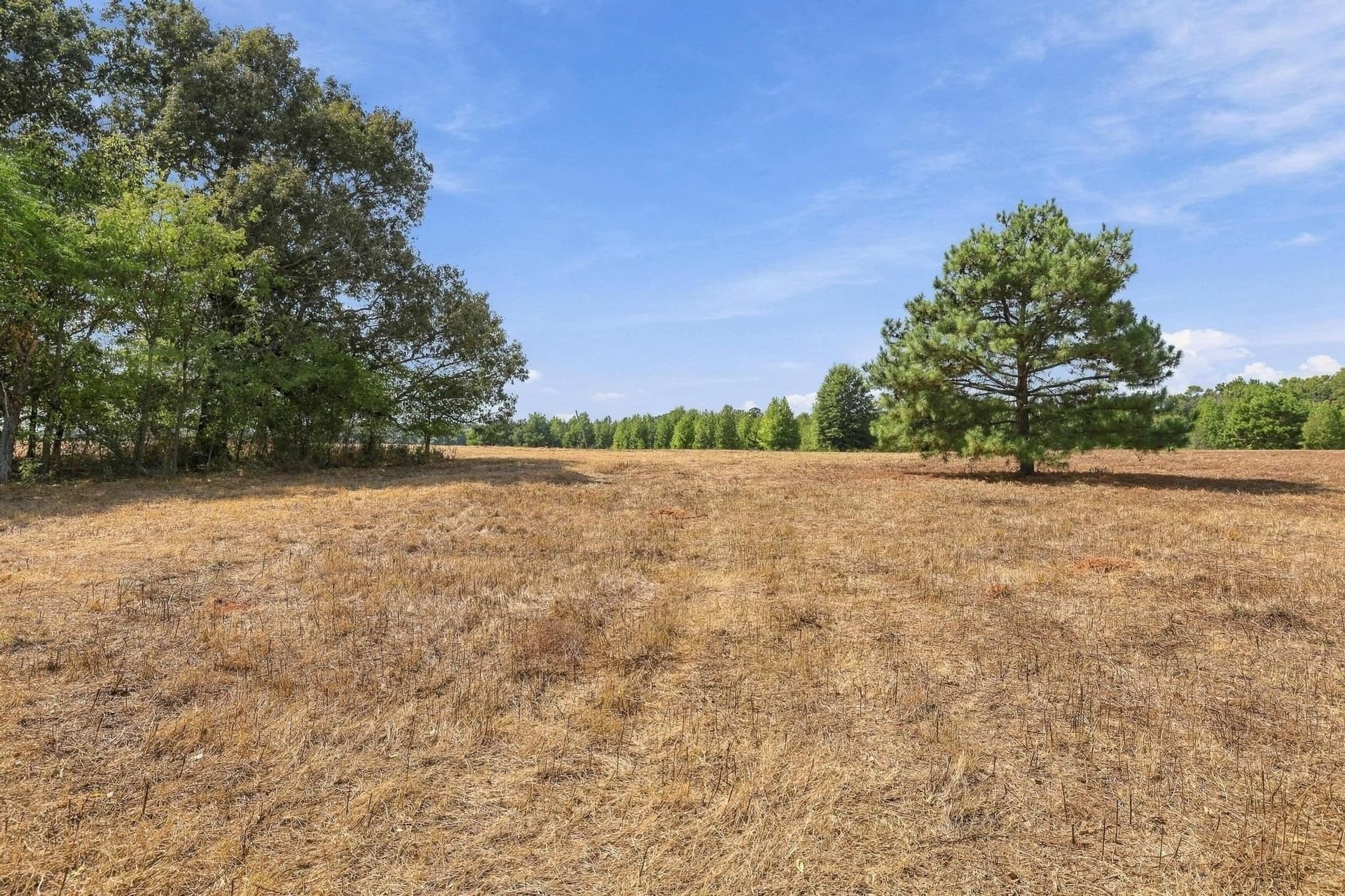 40.54 acres in Camp County - photo 24