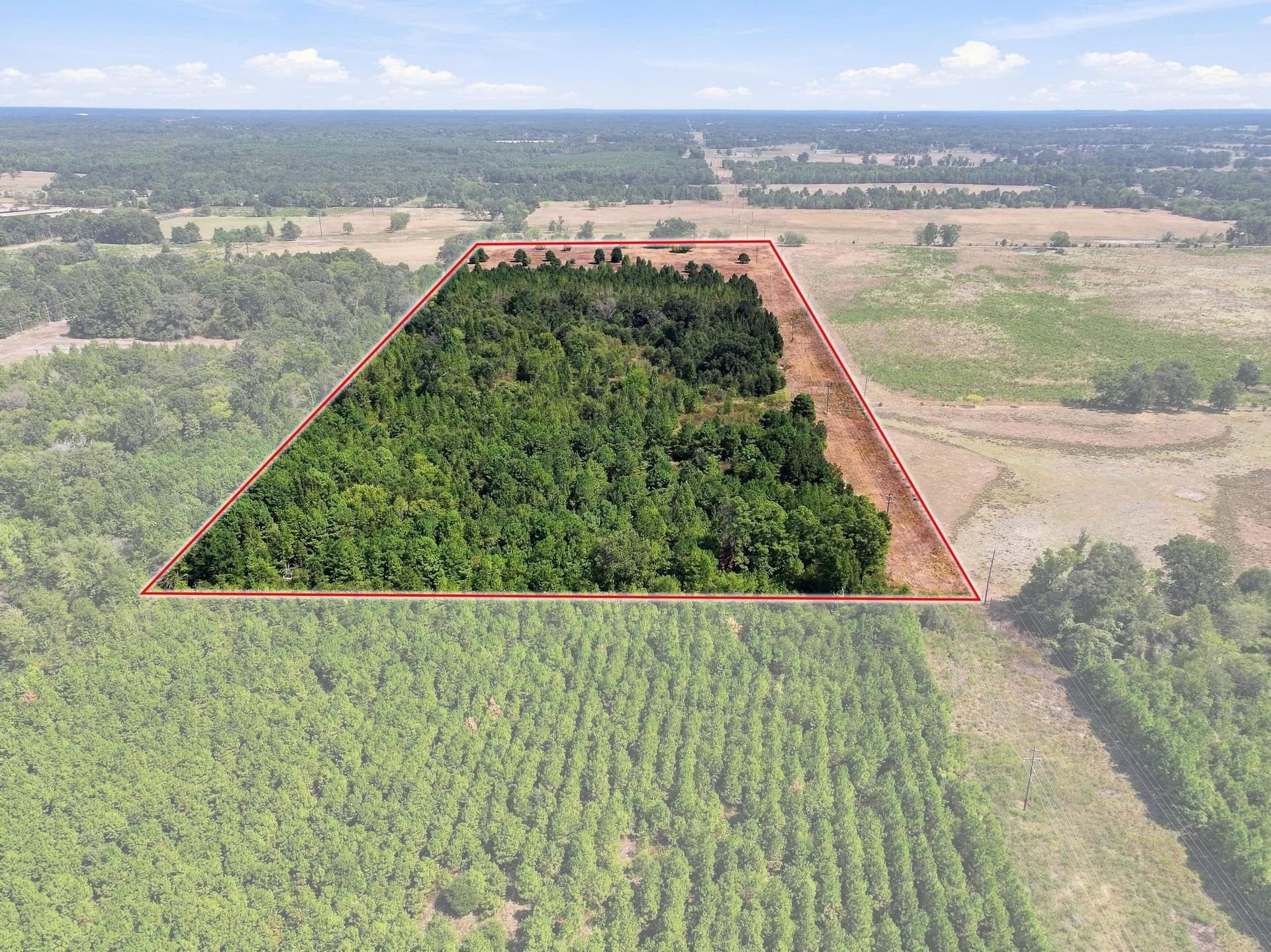 40.54 acres in Camp County - photo 15