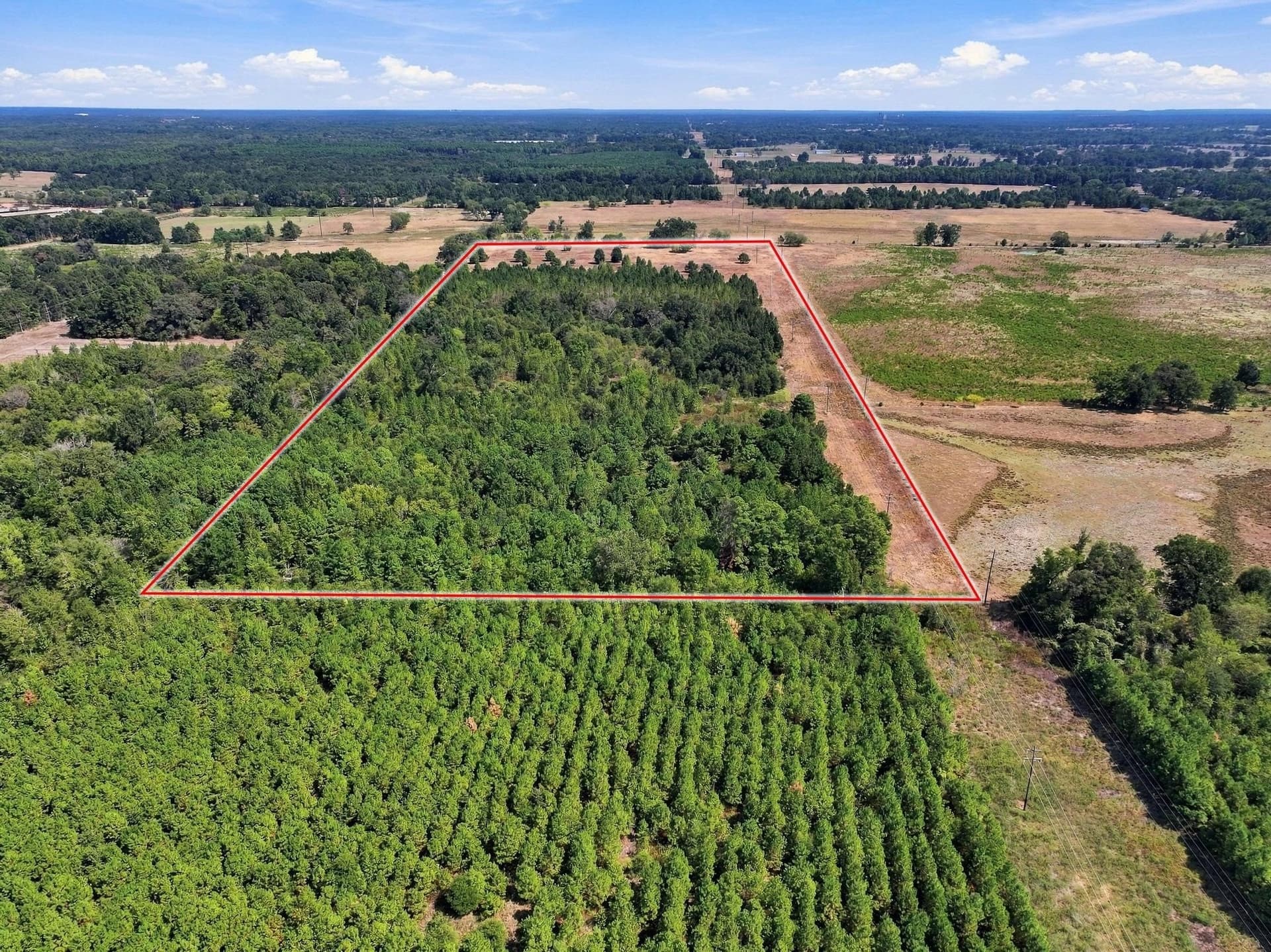 40.54 acres in Camp County - photo 16