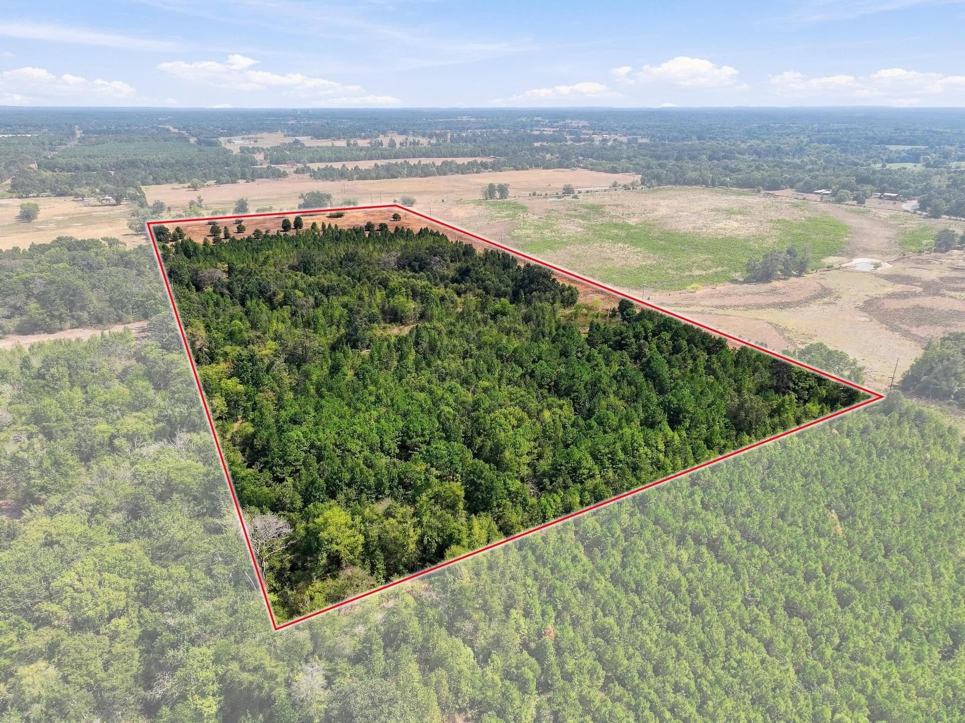 40.54 acres in Camp County - photo 18