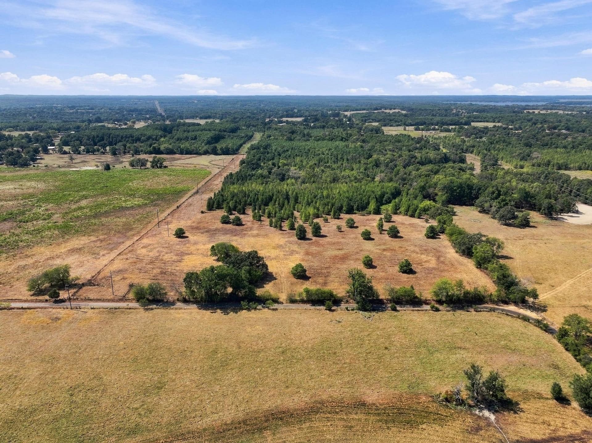 40.54 acres in Camp County - photo 6