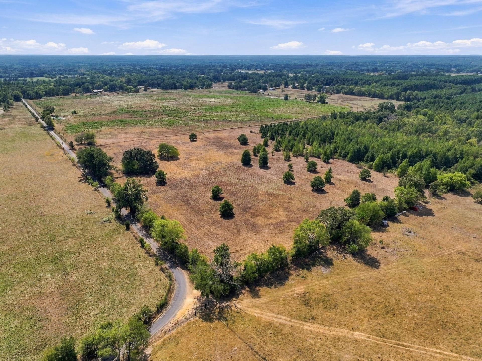 40.54 acres in Camp County - photo 10