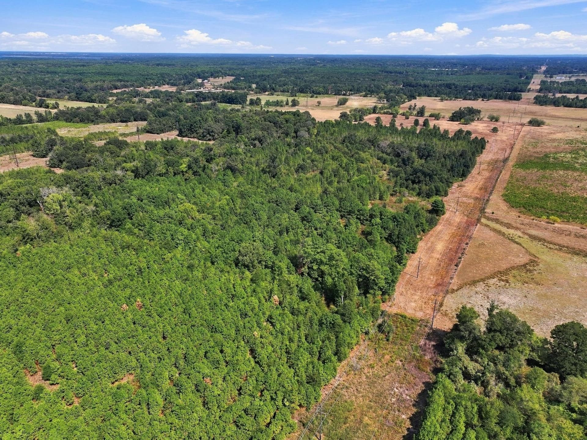 40.54 acres in Camp County - photo 14