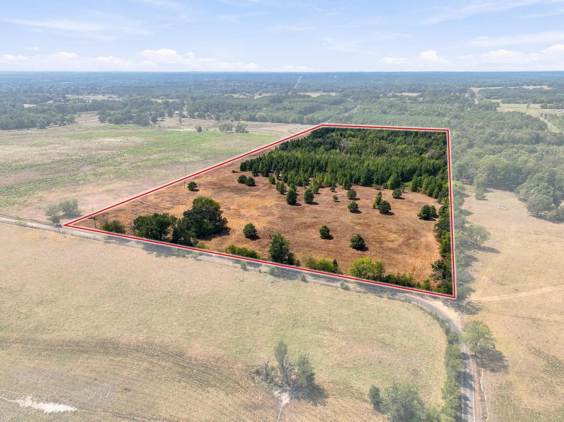 40.54 acres in Camp County - photo 7