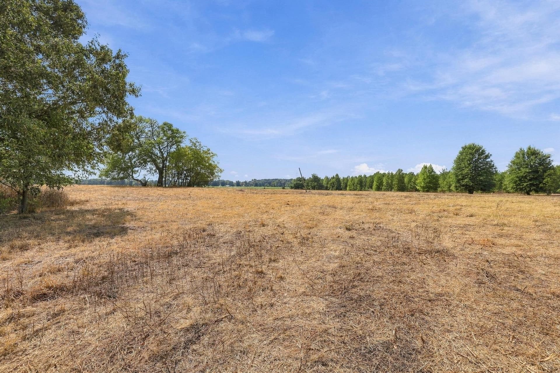 40.54 acres in Camp County - photo 25