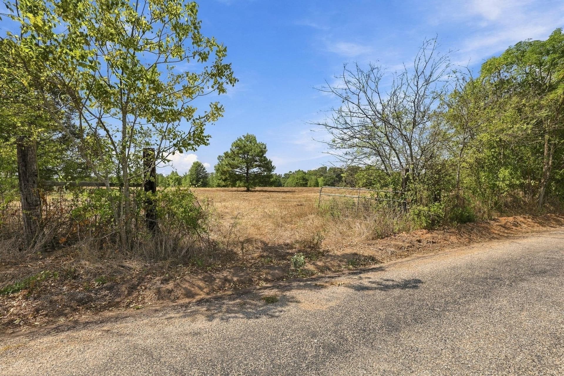 40.54 acres in Camp County - photo 21