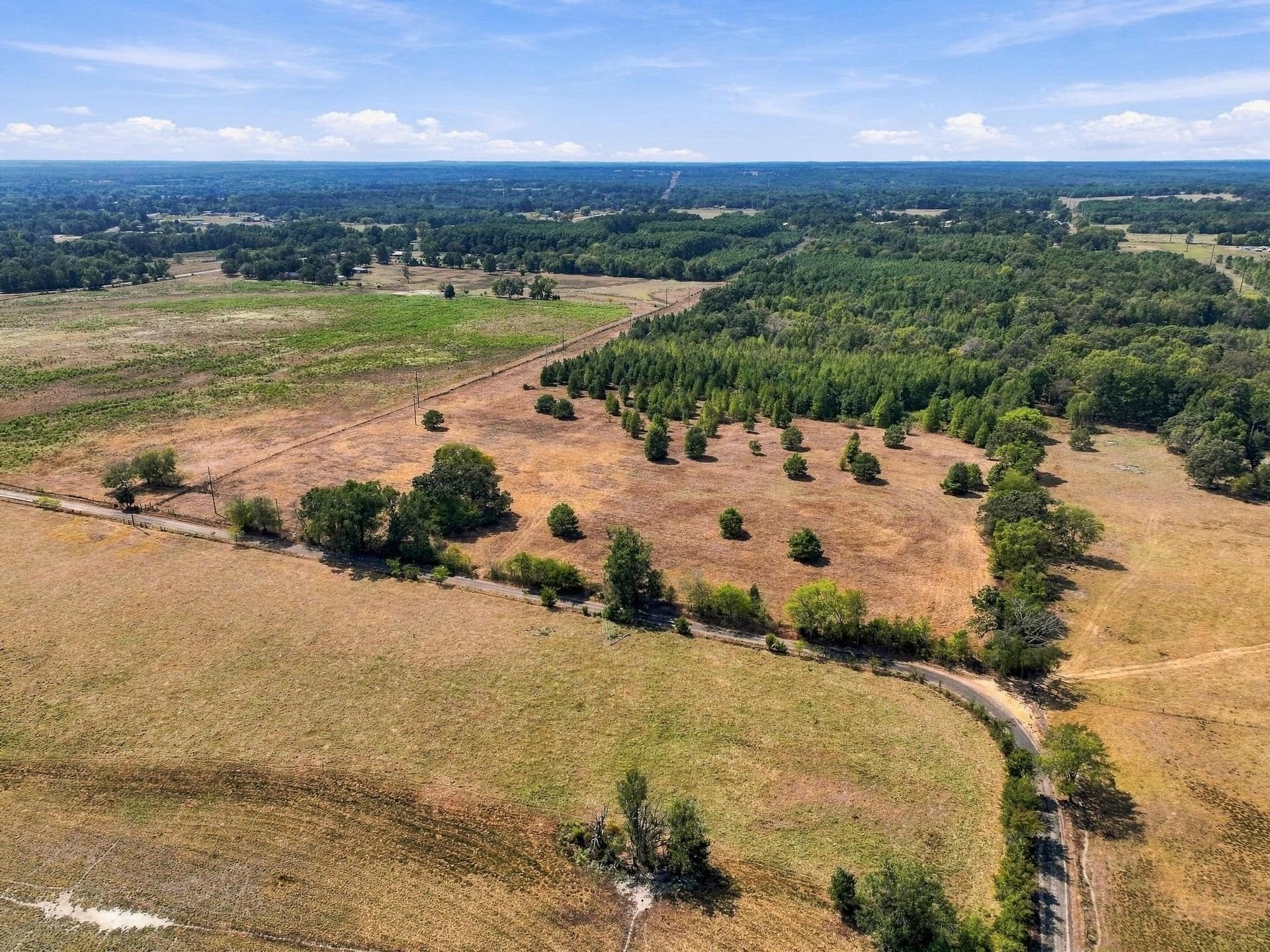 40.54 acres in Camp County - photo 3